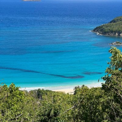 カリブ海の国 🇻🇨セントビンセント及びグレナディーン諸島、カヌアン島で働くサバイバル女子。この島唯一の日本人住民🙋🏻‍♀️