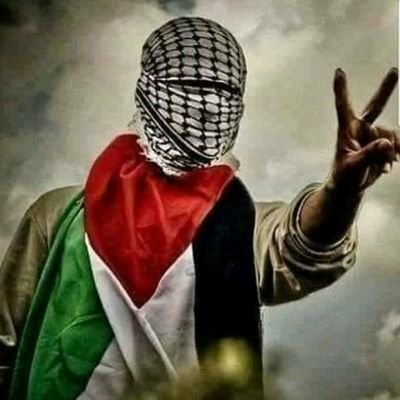 amad_yusif's profile picture. My name is Yusif Ahmad, from Palestine, Gaza Strip
❤❤🇵🇸🇵🇸❤❤