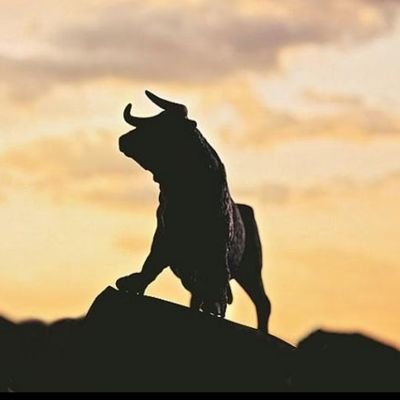 iFeelBullish Profile Picture