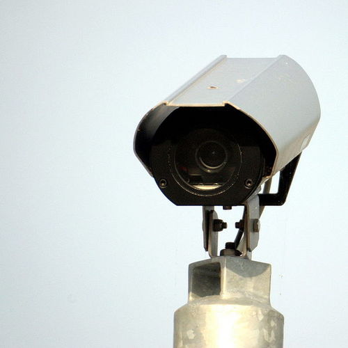 TedJohnson3's profile picture. I help people pursue a career as a security guard