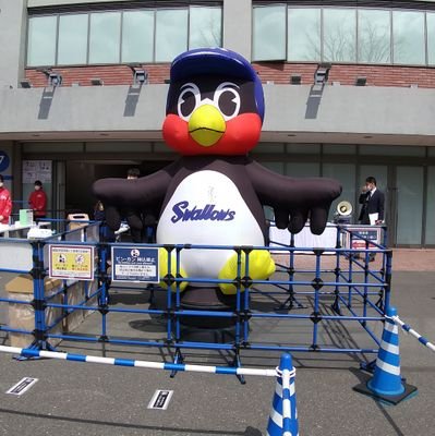 東京ヤクルトスワローズ　
大好きです🍀😌🍀
初めてプロ野球を観戦したのも神宮球場。
初めて学生野球を観戦したのも神宮球場。
神宮球場はあたすのパワースポット🏟
高校、大学、社会人とアマチュア野球も大好きです⚾️
みなさん、よろしくお願いします🐧
ヤリ返せ🔥