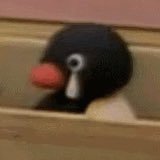 A very quiet follower, follow some interesting people |25+
