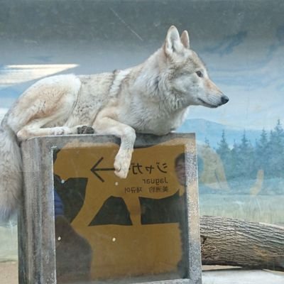 DVqFQqc8vPTOTAJ's profile picture. 大阪市内の北側住みです。173/会社員/週末が都合がいいです。
気軽にご飯、遊びに行けたりする人を探してます。
イチャイチャするのが好き