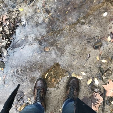 samiralyateem's profile picture. 