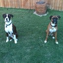 Kendra Tatham - @tathamk - Twitter