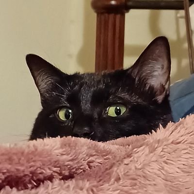 trashbeeb's profile picture. I’m alive, aha, Fuck.
they/them