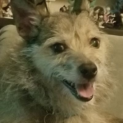 LapphySapphy's profile picture. That's my purse, this is my twitter, I don't know you, Jimmy cracked corn and I don't care to. She/her Asexual Biromantic ✨🐊🌌✨ $haleyisacomet