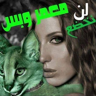 Soma25370067's profile picture. ‏سيف الإسلام يمثلني