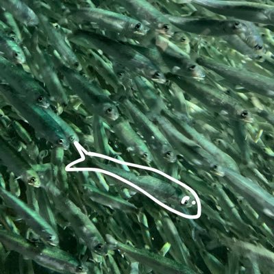 B3Lxv5's profile picture. ニートになりたいゴミ