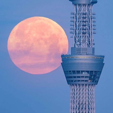 色んな場所に行くのが大好きです⛰
オススメあれば紹介お願いします😁
フォローしてくれたらフォロー返します🎶