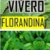 Vivero Florandina (@vflorandina) Twitter profile photo Vivero Florandina (@vflorandina) Twitter profile photo