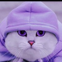 ไม่มีผู้ใช้ อยู่ในระบบ-9999 (@natcha778800) 's Twitter Profile