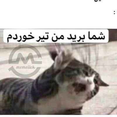 من تیر خوردم شما برین