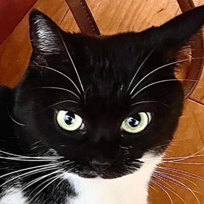 Caliburさんのプロフィール画像