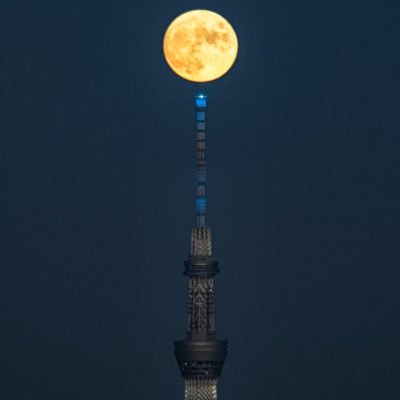 matsupon0750's profile picture. ほぼ日々メンエスのことしか考えていません☺️ 無言フォロー失礼致します🙇‍♂️