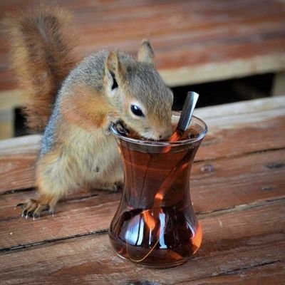 keyboardmaster_'s profile picture. 