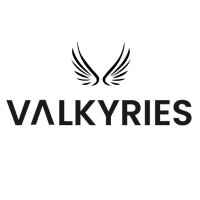 Valkyries H2020(@ValkyriesH2020) 's Twitter Profile Photo