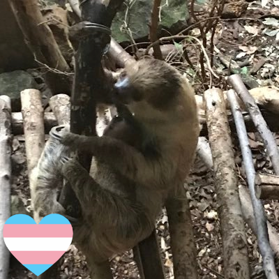 F1, Philosophy, Leftist Politics, Science and Sloths. And Bats 🦇 RTs not necessarily endorsements. BLM. Trans Rights are Human Rights. Views my own. she/her