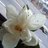 soniaolivaresmo's profile image
