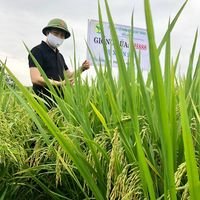 Nguyễn Văn Hoạt (@nguyenvanhoat99) 's Twitter Profile