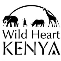 Wild Heart Kenya(@WildHeartKenya) 's Twitter Profile Photo