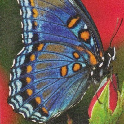 OmelkaMarian's profile picture. 