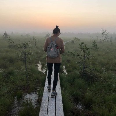 pillemari's profile picture. I know pretty much what I like and dislike; but please, don’t ask me who I am