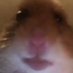 i dunno (@idunno06961222i) Twitter profile photo i dunno (@idunno06961222i) Twitter profile photo