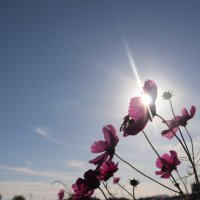 smm (@stmnm_psy) Twitter profile photo