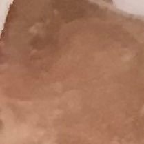 cat_nyann's profile picture. 成人済/オタク。好きな事や、日常の不満や愚痴ばかり。たまにTL うるさくなる。基本推し単体で愛でてる。無言フォローする事もあるけどフォロバしなくていいです。ブロ/ミュ最大限に活用する。画像は無断転載も加工もAI学習に使用するのも禁止。🐱御猫様がR6.11/20虹の橋を渡りました🌈享年20歳5ヶ月。