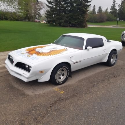 Husband of 1, Father of 3, Coach of many, Instructor forever, Muscle car restorer, Negotiator for the win, OIler fan till death, and a business owner.