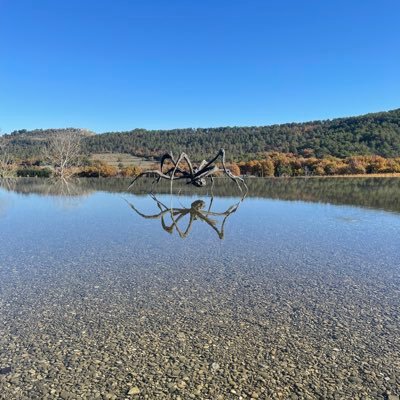 metalmickey1234's profile picture. ⚒⚒⚒⚒