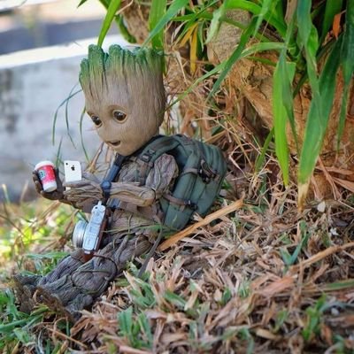 rongrong_su's profile picture. 天生自由