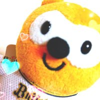 ぽんとき (@ponntoki) 's Twitter Profile