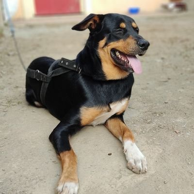 KenMGB17's profile picture. 