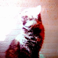 ゴウズレア (@gauzrare) 's Twitter Profile Photo