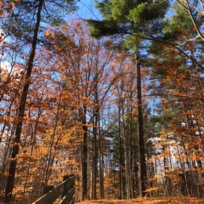 K_L_Ma's profile picture. 