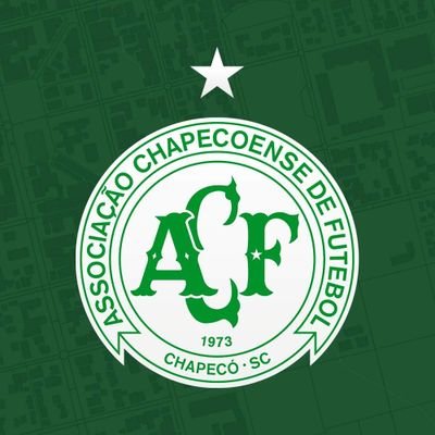 Torcedor apaixonado e sofredor, mas que nunca irá te abandonar.