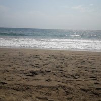 Joan Domenech (@j_domca) 's Twitter Profile