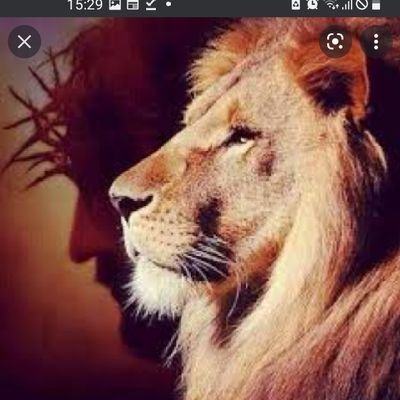 Conny58594955's profile picture. Italy