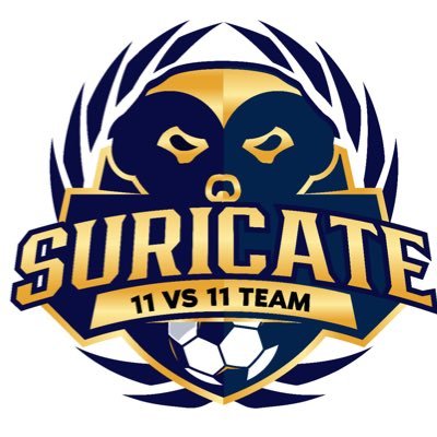 Team Suricate