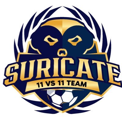 ClubPro #11v11🇫🇷Xbox since 2012. Titrée sur Fifa 13,14,16,17,18,19,20.22,23 Champion d'Europe Fifa17. 💛 🏆🏆WS. contact @JagatakJean