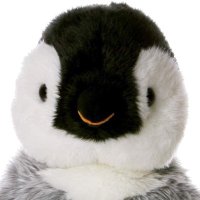 Kevin The Penguin (@kevinthapenguin) 's Twitter Profile
