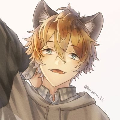 こんぱるさんのプロフィール画像