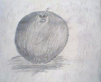 sewlester's profile picture. 