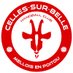 Handball Club Celles-sur-Belle (@HBCCELLES) Twitter profile photo