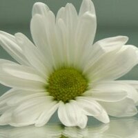 Thought for Today (@thought4todayuk) 's Twitter Profile