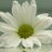 thought4todayuk's profile image