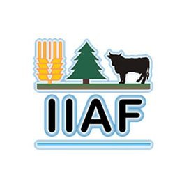 El IIAF es una dependencia de la UMSNH creada para realizar y fomentar  la investigación básica y aplicarla en áreas Agrícola, Pecuaria,  Forestal y Acuícola.