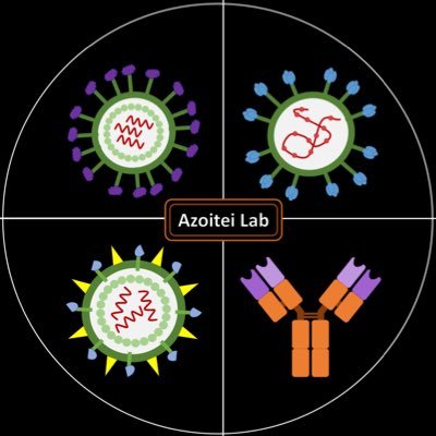 We are the Azoitei lab @TheDHVI ! Working on next generation vaccines against influenza, HIV and coronaviruses.